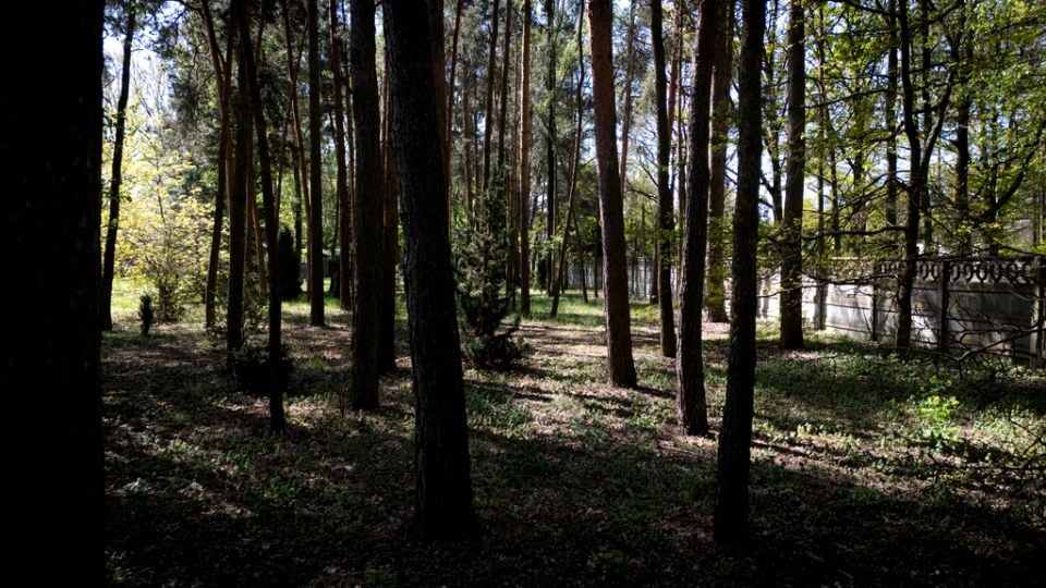 Działka przy lesie