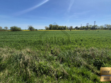 Działka siedliskowa Gdańsk