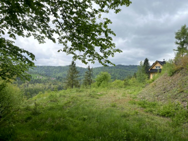 Działka Wisła