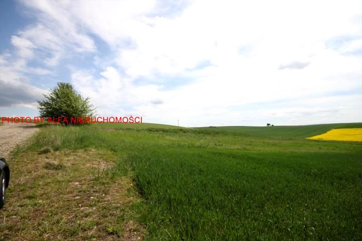 Działka budowlana Panków