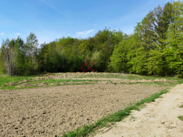 Działka budowlana Kosy