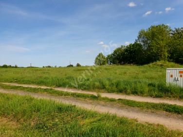 Działka budowlana Wilczków