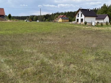 Działka Borowe