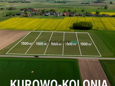 Działka budowlana Kurowo-Kolonia