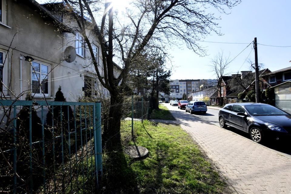 Zdjęcie 3