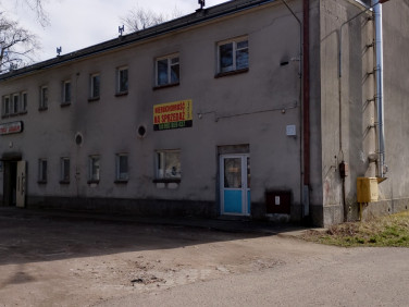 Lokal Gryfice