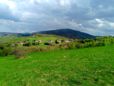 Działka Walim