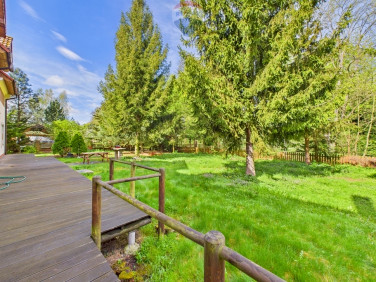 Dom Szczodre sprzedaż