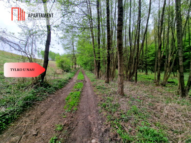 Działka rolna Tomkowo