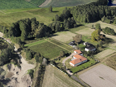 Dom WIĄCZYŃ DOLNY sprzedaż