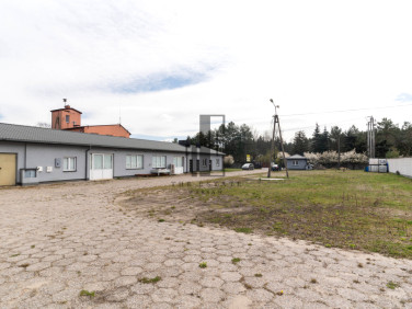 Budynek użytkowy Wiązowna
