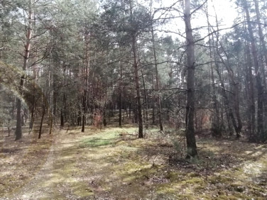 Działka budowlana Franciszków