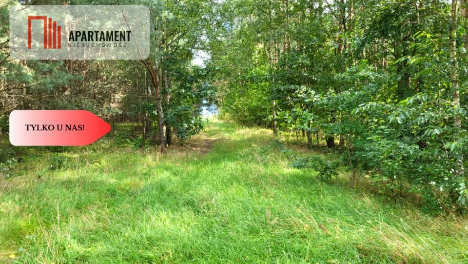 Działka Skórka