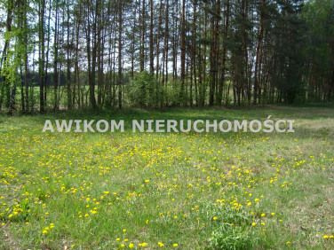 Działka budowlana Zaręby