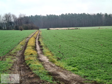 Działka budowlano-rolna Gajówka