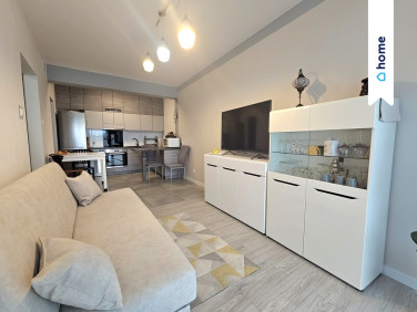 Mieszkanie apartamentowiec wynajem