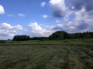 Działka rolna Olmonty