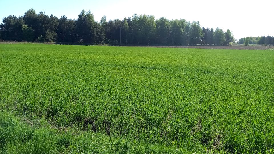 Działka budowlana Popielów sprzedam