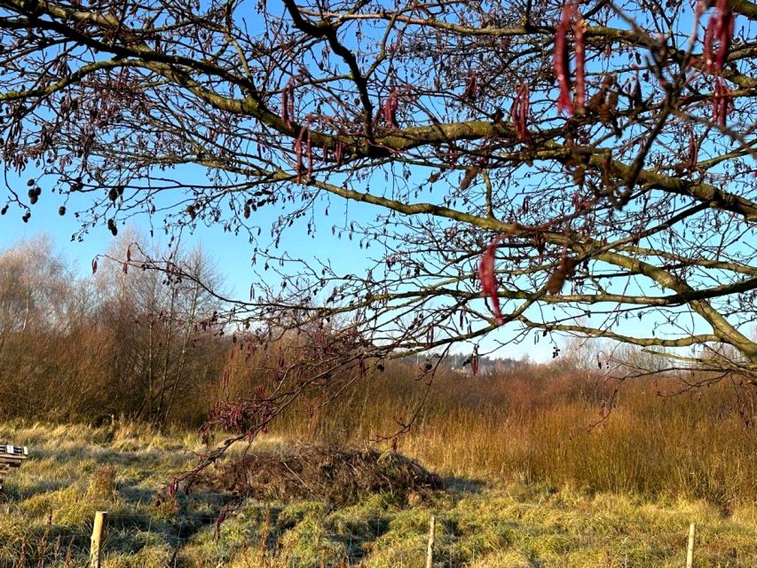 Działka budowlana Poznań