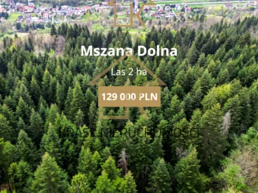 Działka leśna Mszana Dolna