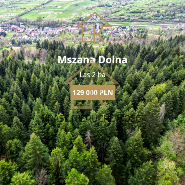 Działka leśna Mszana Dolna