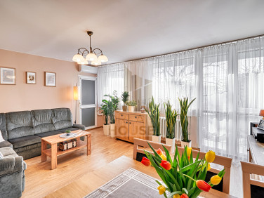 Mieszkanie Wrocław sprzedaż
