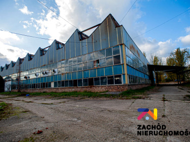 Budynek użytkowy Nowa Sól