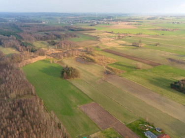 Działka rolna Babienica sprzedam