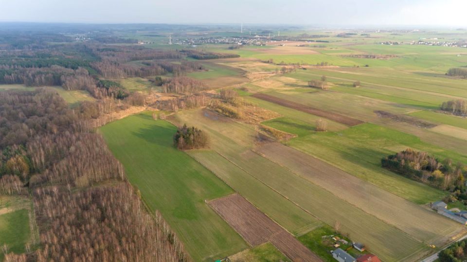 Działka rolna Babienica sprzedam