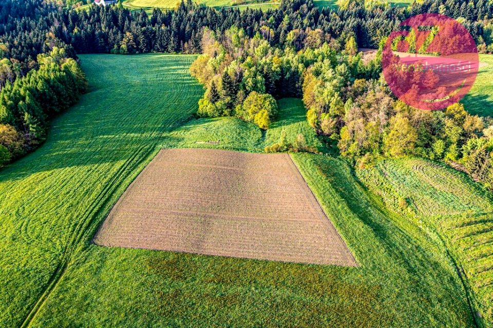 Zdjęcie 3