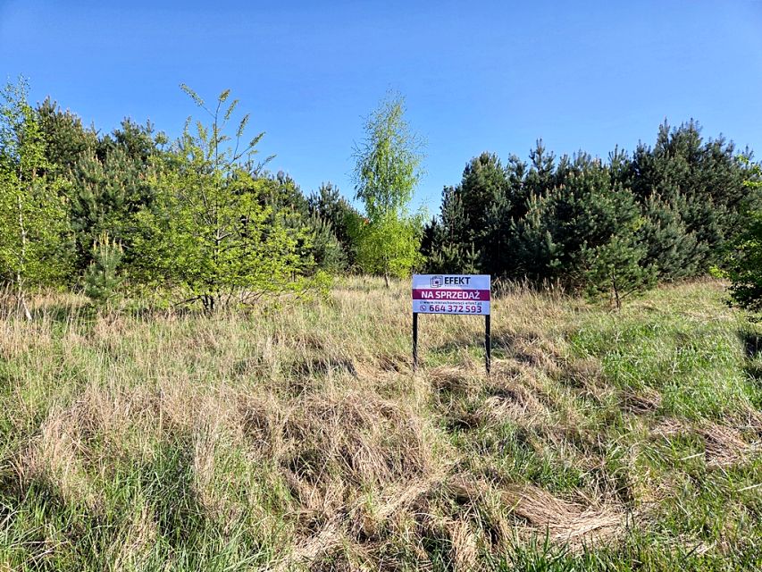 Działka budowlana Wierzyce