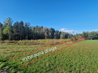 Działka Brzeziny
