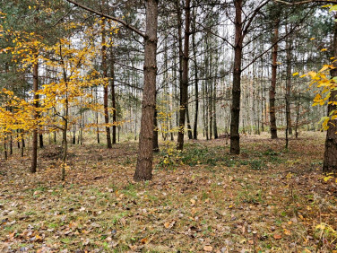 Działka budowlana Żebrówka sprzedam