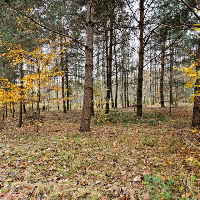 Działka budowlana Żebrówka sprzedam