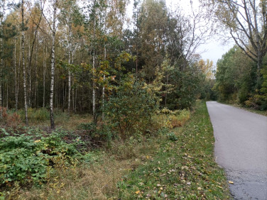 Działka Żebrówka