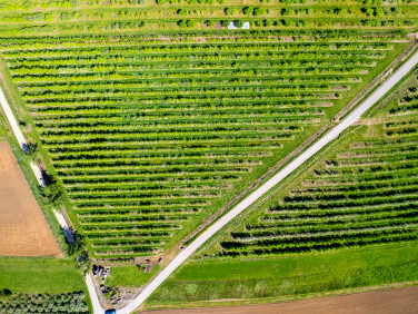 Działka Łysa Góra