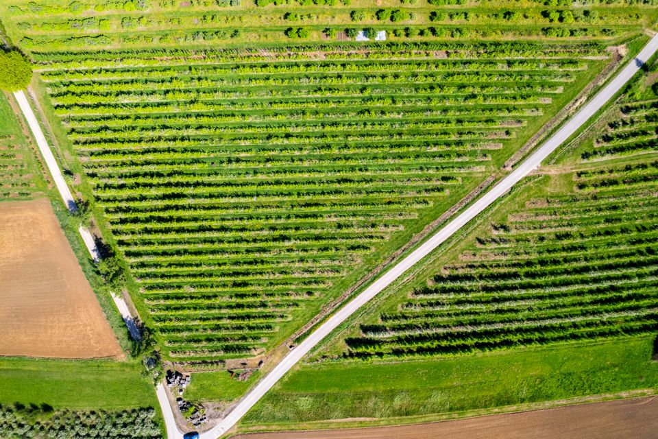 Działka Łysa Góra