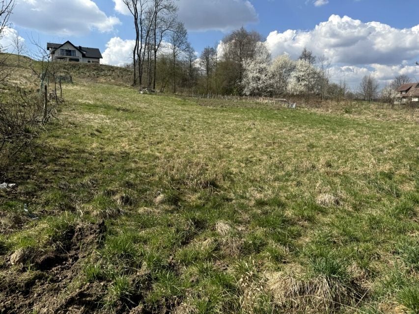 Zdjęcie 2