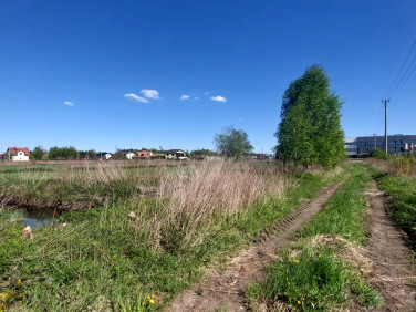 Działka Dybów-Kolonia
