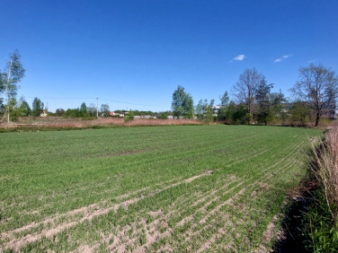 Działka Dybów-Kolonia
