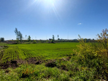 Działka przemysłowa wynajmę