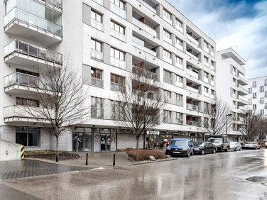 Lokal Warszawa