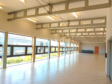 Lokal Lesznowola