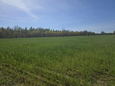 Działka budowlana Michałów