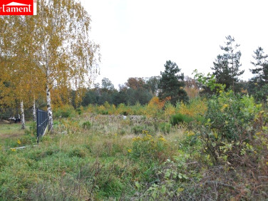 Działka budowlana Bagno sprzedam