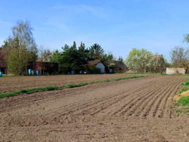 Działka Zakrzewko