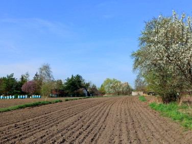 Działka inna sprzedam
