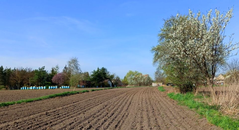 Działka inna sprzedam