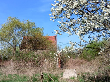 Działka inna Zakrzewko