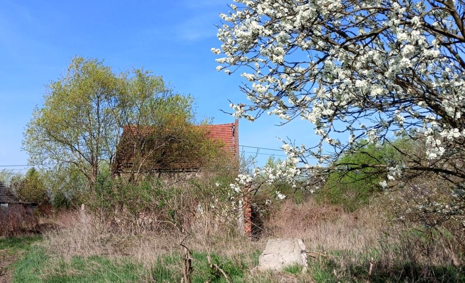 Działka inna Zakrzewko